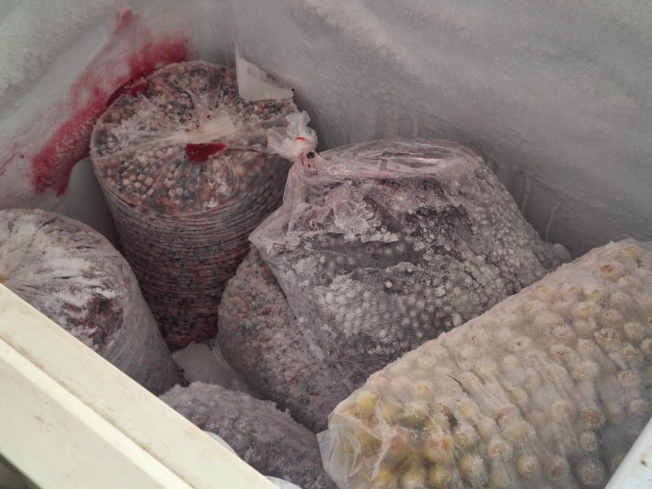 title - ผู้ตรวจราชการ ส.ป.ก. ร่วมประชุมคณะทำงานติดตามเร่งรัดการใช้จ่ายงบประมาณประจำปีงบประมาณ พ.ศ. 2569 ของสำนักงานการปฏิรูปที่ดินเพื่อเกษตรกรรม ครั้งที่ 1/2569 และประชุมตรวจราชการและติดตามความก้าวหน้าผลการดำเนินงานตามแผนการตรวจราชการของผู้ตรวจราชการสำนักงานการปฏิรูปที่ดินเพื่อเกษตรกรรม ประจำปีงบประมาณ พ.ศ. 2569 รอบที่ 1 เขตตรวจราชการที่ 11 จังหวัดสกลนคร